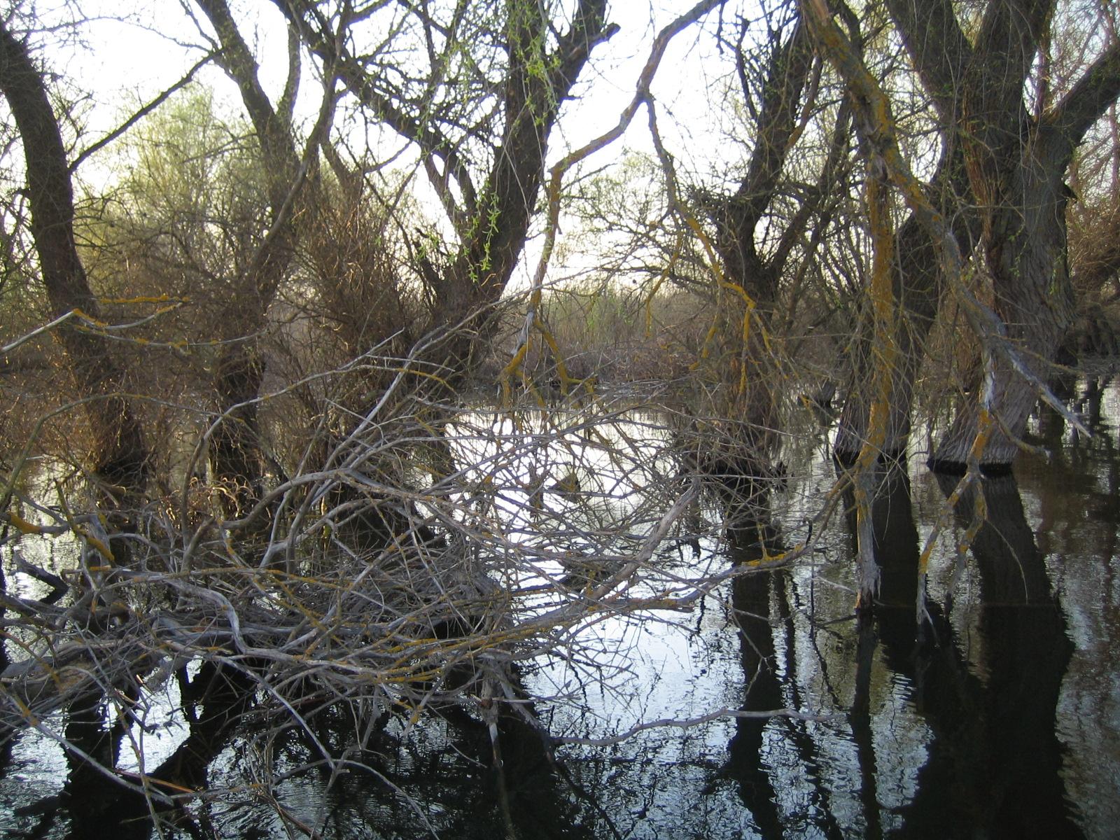 DELTA 2007-2012 - HERACLE